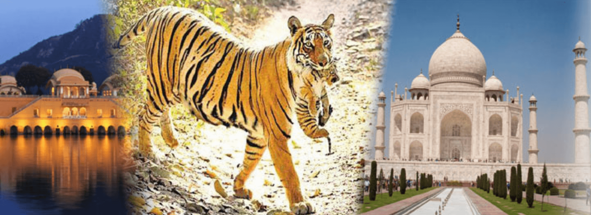 Golden Triangle with Ranthambore