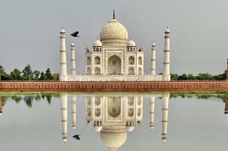 Contact Tour Operator in India